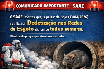 DEDETIZAÇÃO NAS REDES DE ESGOTO 